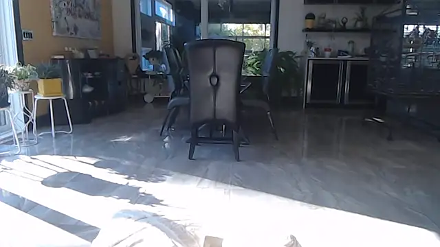 Toy-Daddy online show from 10.28.25