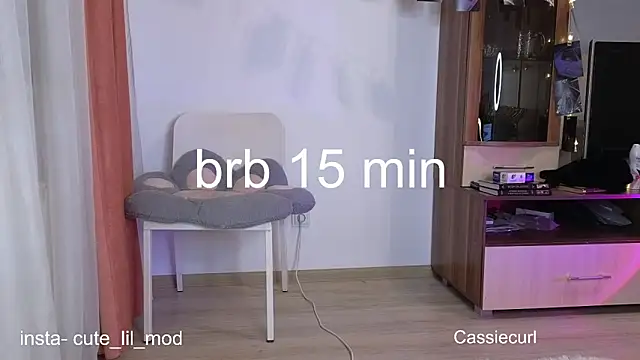 art phoenix online show from 03.07.25