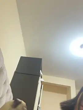 Snapshot of sarah12333 chatting on 03.21.26 sarah12333 online show from 03.21.26