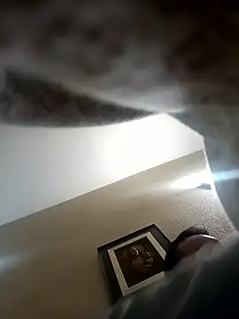 Porco81cazzo online show from 01.05.26