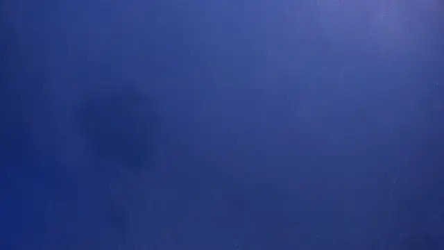 celestelewis online show from 03.19.25