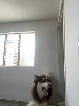 Snapshot of Arilw chatting on 02.01.25 Arilw online show from 02.01.25