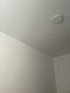 Snapshot of Arilw chatting on 11.21.25 Arilw online show from 11.21.25