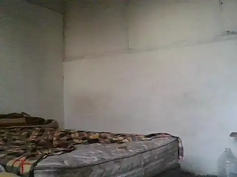 Mircka online show from 02.13.26