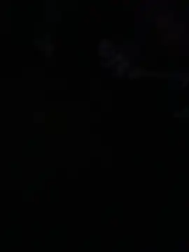 avans 15 online show from 05.14.26