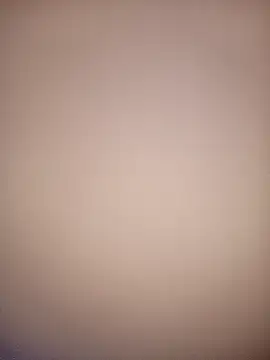 bustybillies online show from 12.03.25