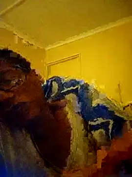 bustybillies online show from 02.20.26