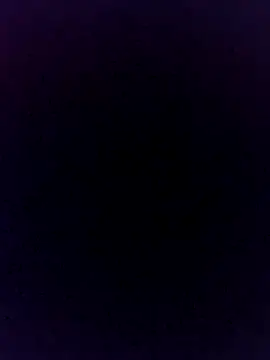 El baby12 online show from 12.14.24