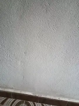 El baby12 online show from 09.24.25