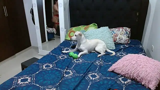 Snapshot of amazonafit_ chatting on 02.15.25 amazonafit online show from 02.15.25