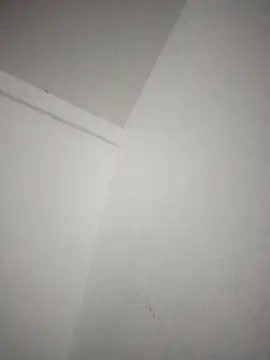 Saiyantiki online show from 01.10.26