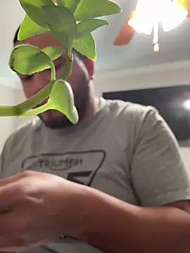 Snapshot of elamante03 chatting on 12.31.24 elamante03 online show from 12.31.24