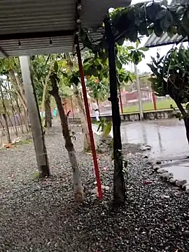 BeetledFlouter12 online show from 09.26.25