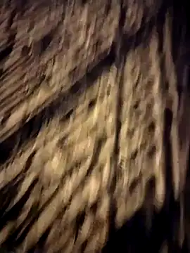 Snapshot of Sperma-V-rotik chatting on 12.14.24 Sperma-V-rotik online show from 12.14.24