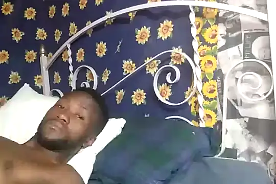 bull Giant online show from 12.10.24