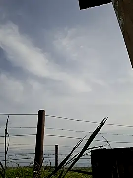 bull Giant online show from 12.22.24