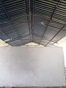 bull Giant online show from 12.24.24