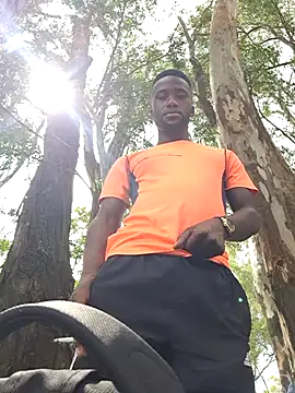 bull Giant online show from 12.30.24