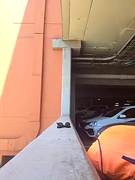 bull Giant online show from 12.30.24