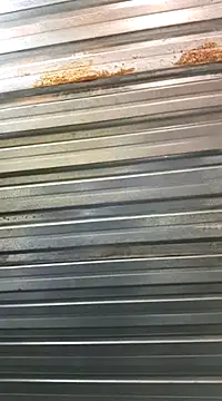 bull Giant online show from 01.30.25