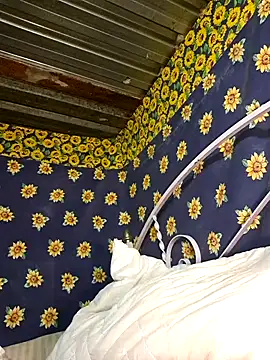 bull Giant online show from 02.03.25