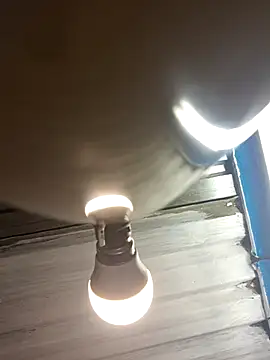 bull Giant online show from 02.03.25