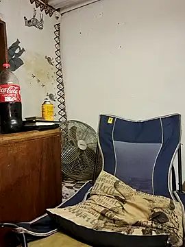 bull Giant online show from 02.25.25