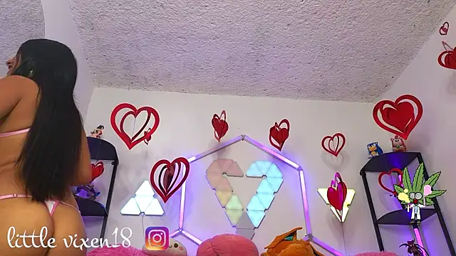 Snapshot of littlevixen18 chatting on 02.25.26 littlevixen18 online show from 02.25.26