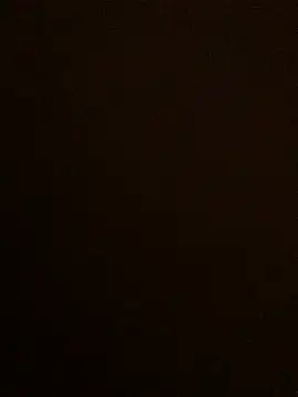 Snapshot of Lona_Lina chatting on 01.19.25 Lona Lina online show from 01.19.25