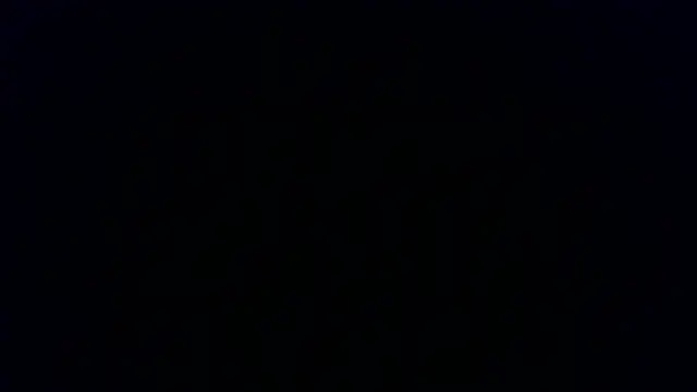 Kashtanka  online show from 01.08.26