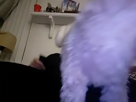 Snapshot of Hand69someguy chatting on 01.10.26 Hand69someguy online show from 01.10.26