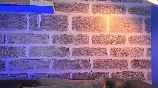 Snapshot of noah_ricci chatting on 10.14.25 noah ricci online show from 10.14.25