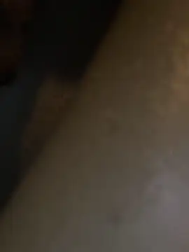 HBYAM online show from 12.30.24