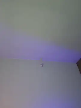 mich bittersweet online show from 04.17.26