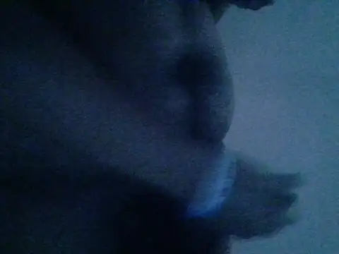 Snapshot of mateomalp675_90 chatting on 04.28.26 mateomalp675 90 online show from 04.28.26