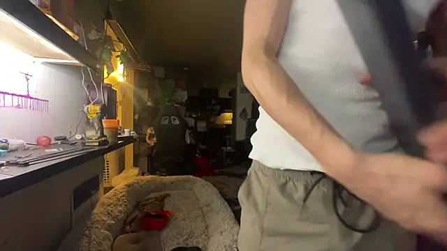 deadpi online show from 04.21.26