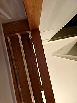 Josephine LIVE online show from 11.28.25