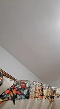 goldycox online show from 01.18.25