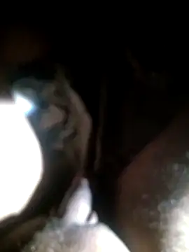 Bass12342a online show from 01.13.26