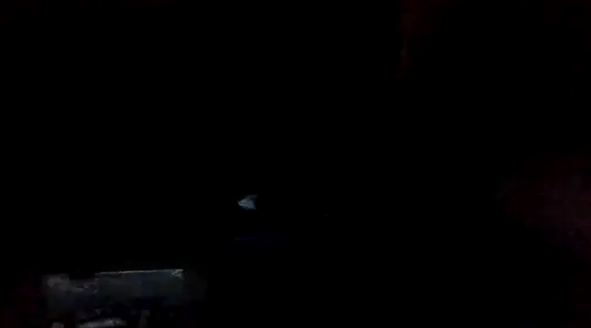 Vicktore007 online show from 03.01.25