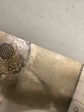 zeekBbc online show from 12.10.24