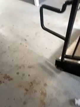 zeekBbc online show from 02.26.26