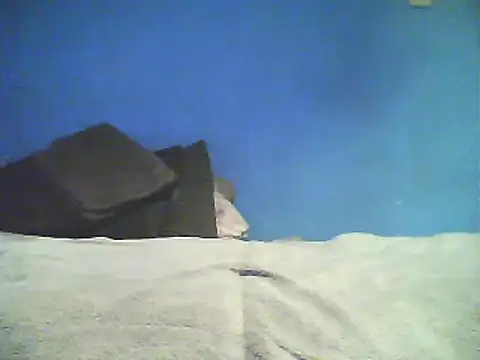 Vago745 online show from 12.02.24