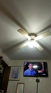 Snapshot of vanscr1 chatting on 12.20.24 vanscr1 online show from 12.20.24