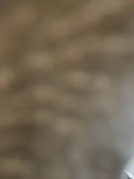 Snapshot of BhadBhad_Kitty chatting on 02.14.25 BhadBhad Kitty online show from 02.14.25