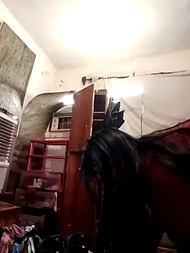 Snapshot of SINUECASTILLO chatting on 12.12.24 SINUECASTILLO online show from 12.12.24