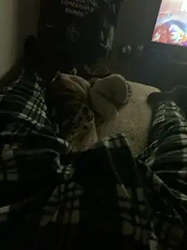 perrrotegrande online show from 01.13.26