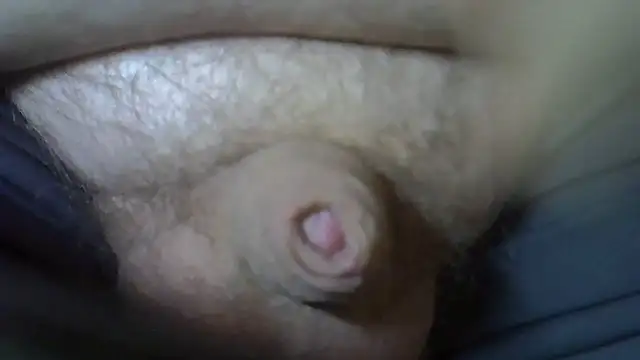 serbes ur online show from 11.02.25