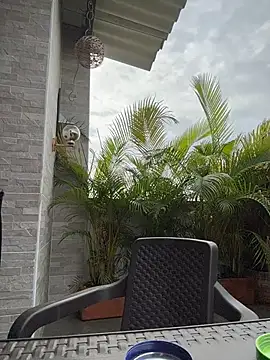 Laura fernandezII online show from 02.24.26