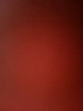 Snapshot of Rupatamil chatting on 12.24.24 Rupatamil online show from 12.24.24